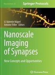 Nanoscale Imaging of Synapses