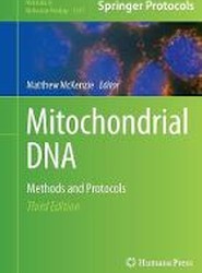 Mitochondrial DNA