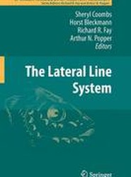 The Lateral Line System