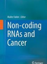 Non-coding RNAs and Cancer