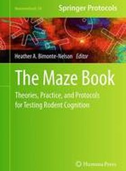 The Maze Book