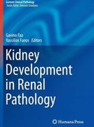 Kidney Development in Renal Pathology