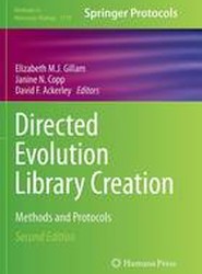 Directed Evolution Library Creation