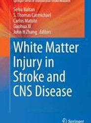 White Matter Injury in Stroke and CNS Disease