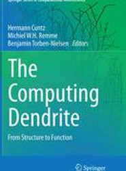 The Computing Dendrite