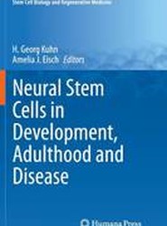 Neural Stem Cells in Development, Adulthood and Disease