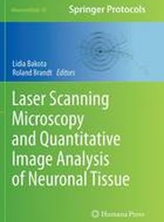 Laser Scanning Microscopy and Quantitative Image Analysis of Neuronal Tissue