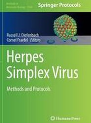 Herpes Simplex Virus