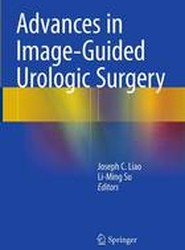 Advances in Image-Guided Urologic Surgery