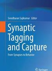 Synaptic Tagging and Capture