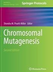 Chromosomal Mutagenesis