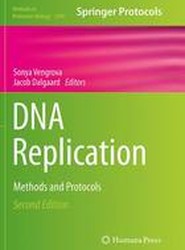DNA Replication