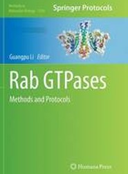 Rab GTPases