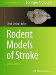 Rodent Models of Stroke