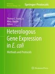 Heterologous Gene Expression in E.coli