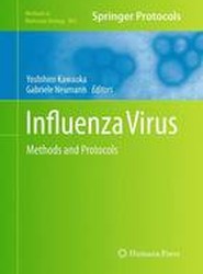 Influenza Virus