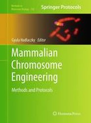 Mammalian Chromosome Engineering