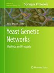 Yeast Genetic Networks