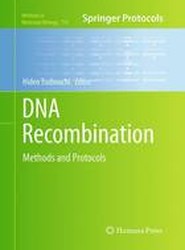 DNA Recombination