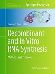 Recombinant and In Vitro RNA Synthesis