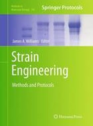 Strain Engineering
