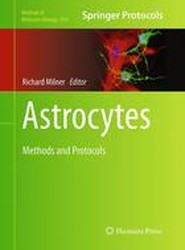 Astrocytes