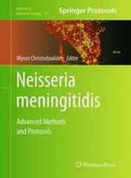 Neisseria meningitidis