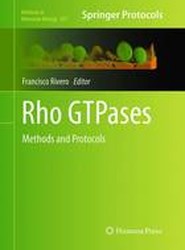 Rho GTPases
