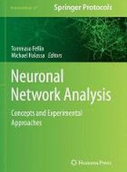 Neuronal Network Analysis