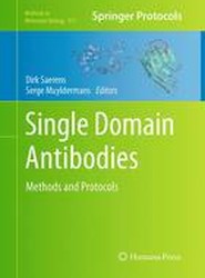 Single Domain Antibodies