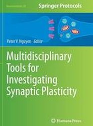 Multidisciplinary Tools for Investigating Synaptic Plasticity