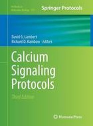 Calcium Signaling Protocols