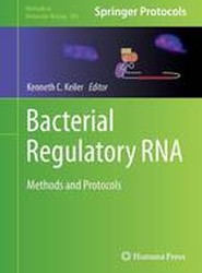 Bacterial Regulatory RNA