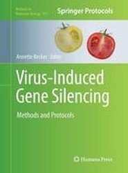Virus-Induced Gene Silencing