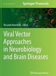 Viral Vector Approaches in Neurobiology and Brain Diseases