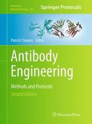 Antibody Engineering