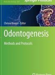 Odontogenesis