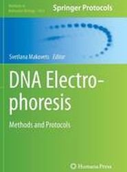 DNA Electrophoresis