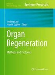 Organ Regeneration