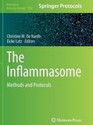 The Inflammasome