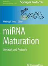 miRNA Maturation