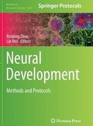 Neural Development