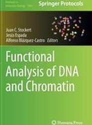 Functional Analysis of DNA and Chromatin