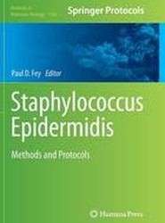 Staphylococcus Epidermidis