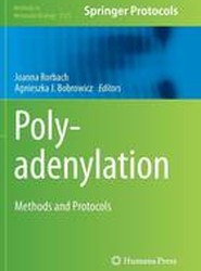 Polyadenylation
