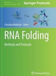 RNA Folding