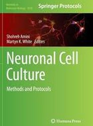 Neuronal Cell Culture