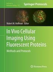 In Vivo Cellular Imaging Using Fluorescent Proteins