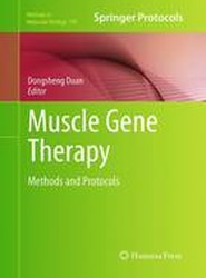 Muscle Gene Therapy