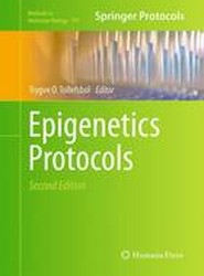 Epigenetics Protocols